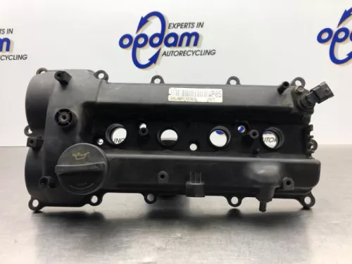 Kleppendeksel-8118144