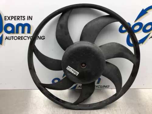 Koelvin Motor-7712555