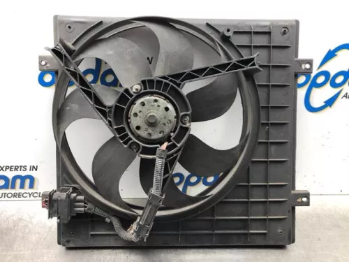 Koelvin Motor-7322573