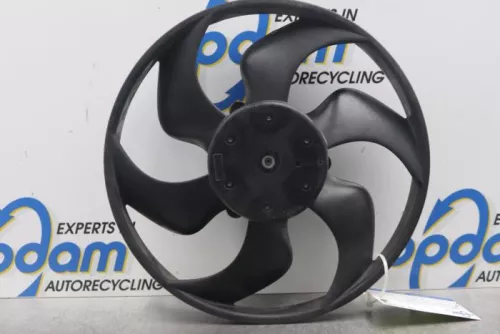 Koelvin Motor-7821657