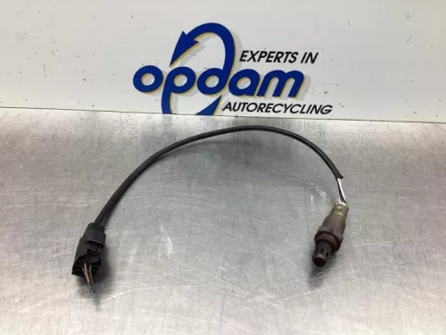 Lambda Sonde-8031624