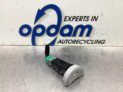 Mistlamp Schakelaar-8097556