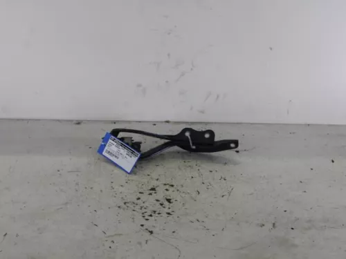 Motorkap Scharnier-7886768