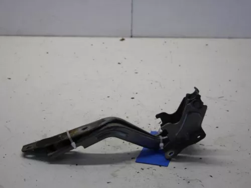 Motorkap Scharnier-7881223