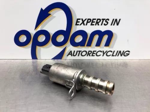 Nokkenas Verstelling-8146887