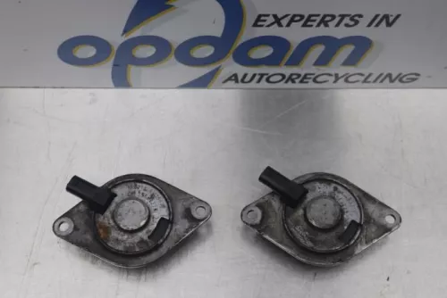 Nokkenas Verstelling-