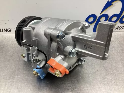 Suzuki Aircopomp 9520068la1 k12b