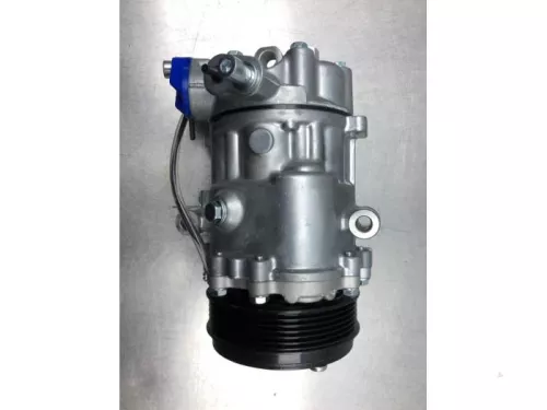 Volkswagen Aircopomp 1s0820803b chya