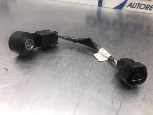 Pingelsensor-7881122