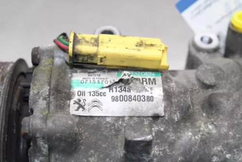 Citroen Aircopomp 9800840380 rh01