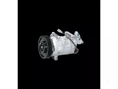 Renault Aircopomp 8200939386 k4m866