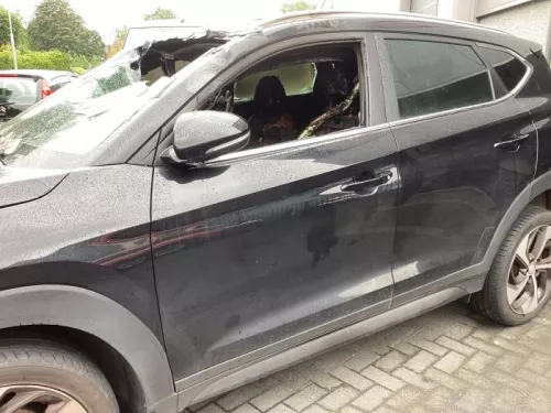 Portier 4Deurs links-voor-8206780