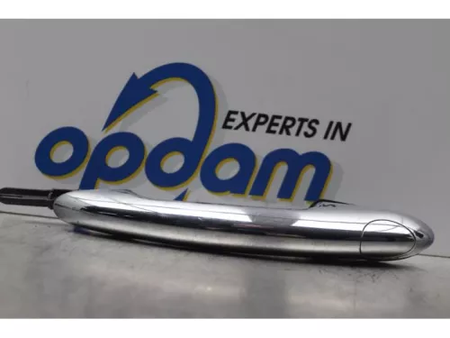 Portiergreep 2Deurs links-7612468