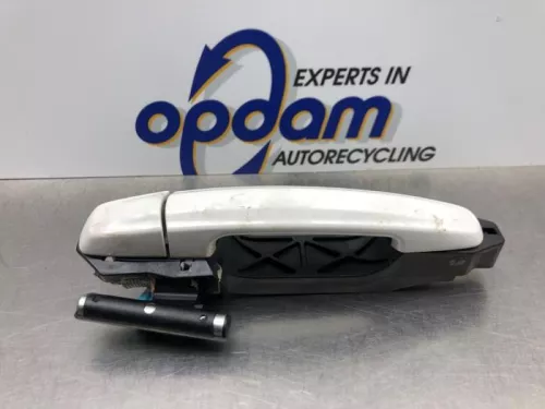 Portiergreep 4Deurs links-achter-8069878