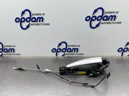 Portiergreep 4Deurs links-voor-8221220