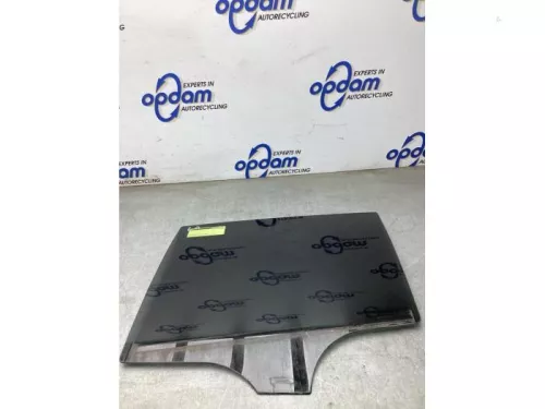 Portierruit 4Deurs links-achter-8296650