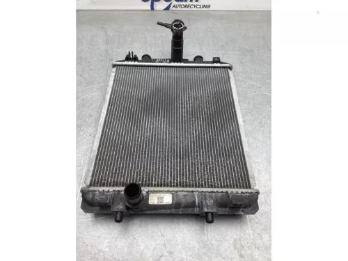 Radiateur-8101951