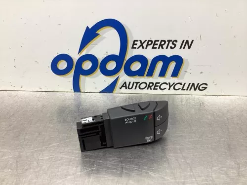 Radio Afstandbediening-8010216