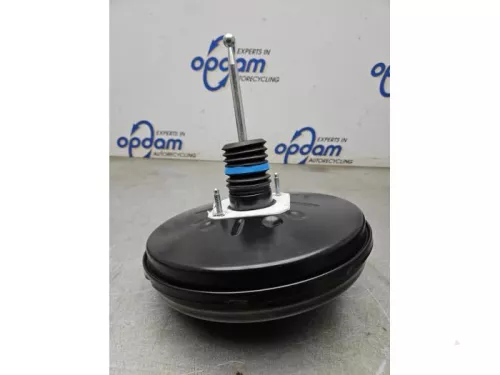 Rembekrachtiger-8190783