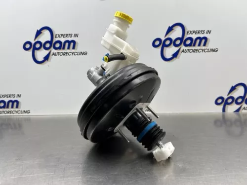 Rembekrachtiger-8246769