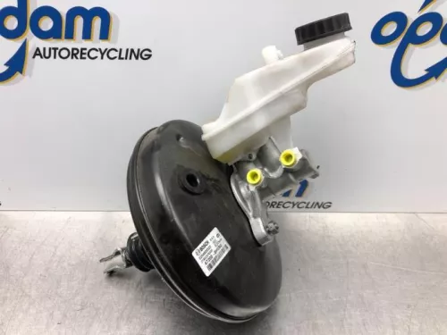 Rembekrachtiger-6923503