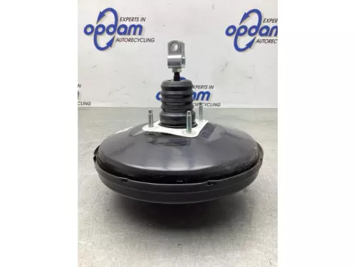 Rembekrachtiger-7617489