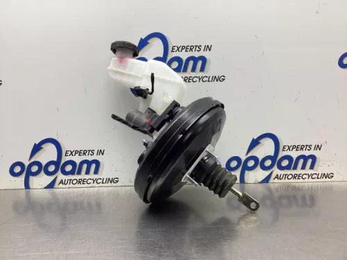 Rembekrachtiger-8091819