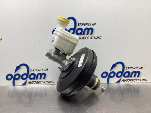 Rembekrachtiger-8049779