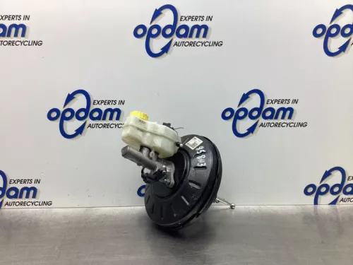 Rembekrachtiger-6495926