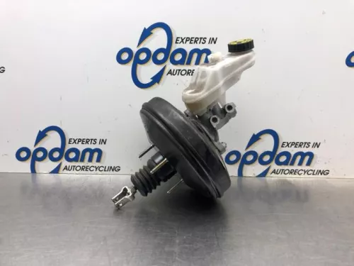 Rembekrachtiger-8031645