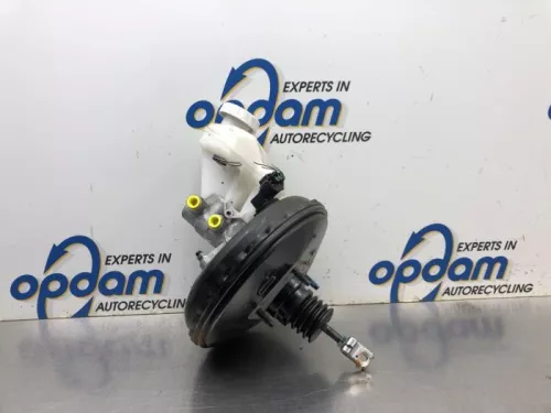 Rembekrachtiger-8099264