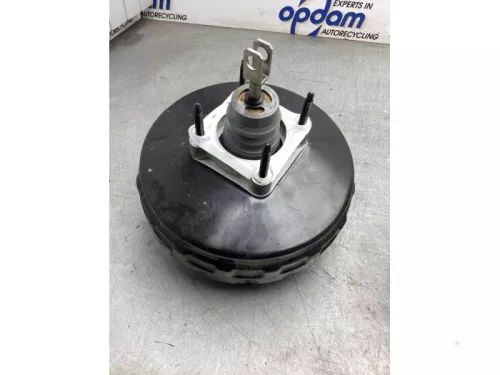 Rembekrachtiger-8146356