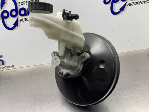 Rembekrachtiger-8110797