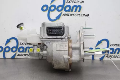 Rembekrachtiger-6936257