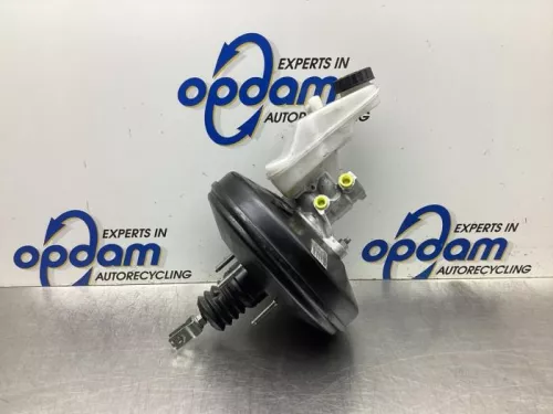 Rembekrachtiger-7937780