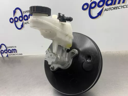 Rembekrachtiger-8303821