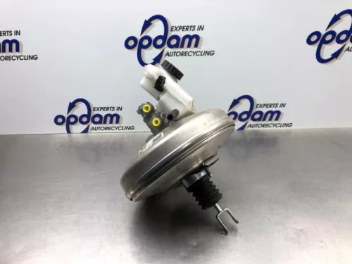 Rembekrachtiger-8176299