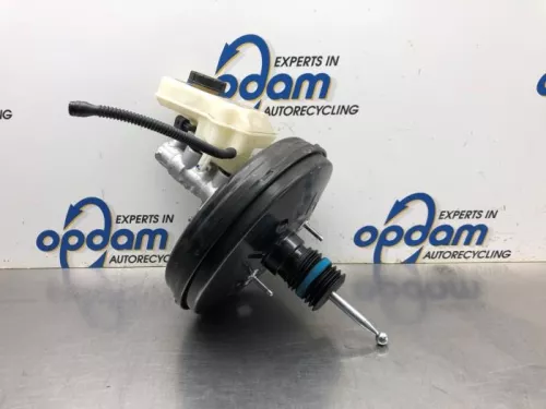 Rembekrachtiger-8099164