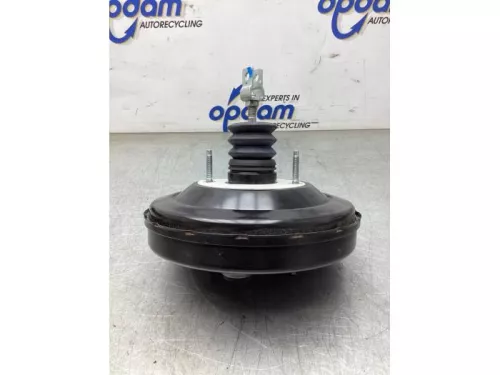 Rembekrachtiger-8096926