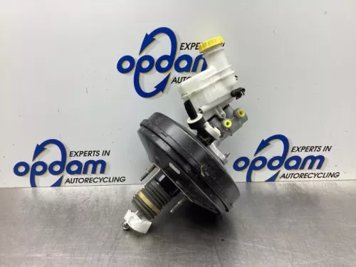 Rembekrachtiger-6063929