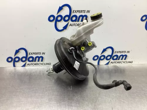 Rembekrachtiger-8031254