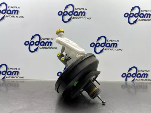 Rembekrachtiger-8170729