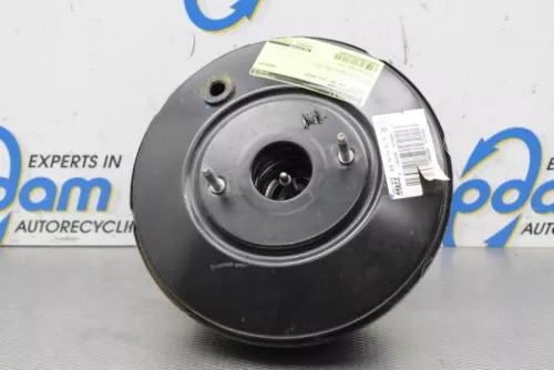 Rembekrachtiger-7363964