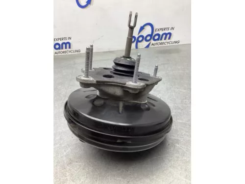 Rembekrachtiger-8041874