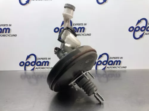 Rembekrachtiger-8154432