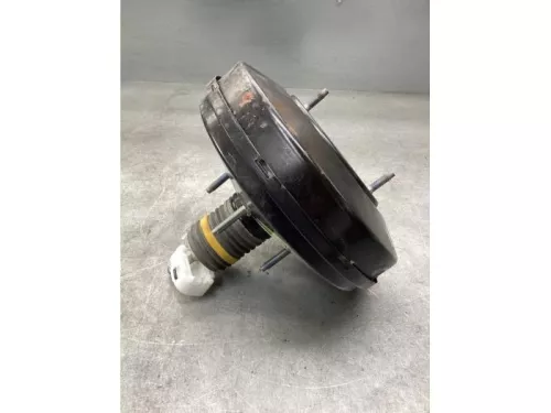 Rembekrachtiger-8132532