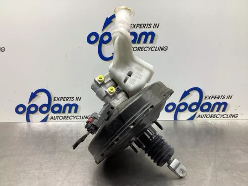 Rembekrachtiger-7915330