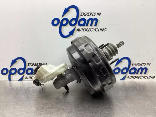 Rembekrachtiger-7862434