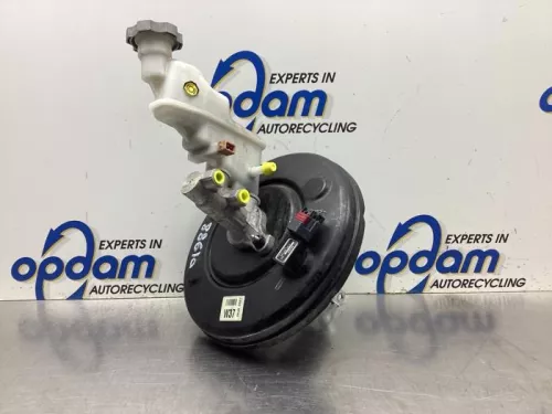 Rembekrachtiger-8057699