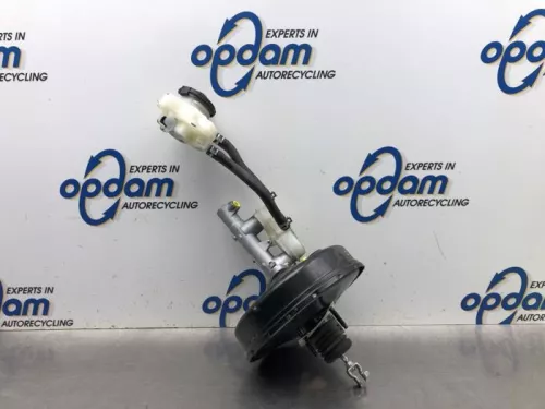 Rembekrachtiger-8084506